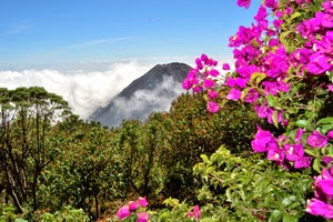 curiosidades de el salvador
