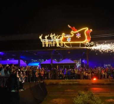 navidad CIFCO